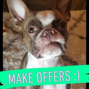 Feel free to make offers or make a bundle!